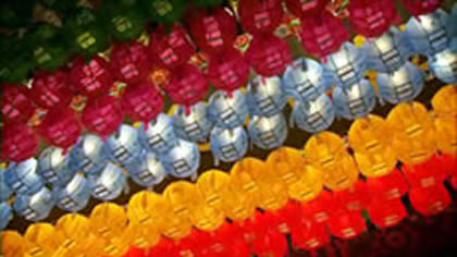 Lotus Lantern Festival