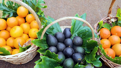 Story: Local Grower&rsquo;s Market on Saturday Morning