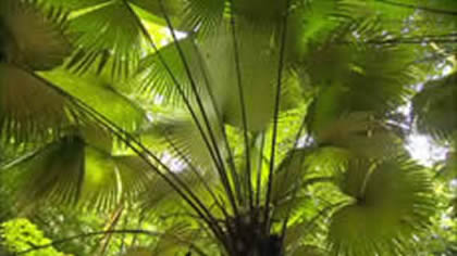 Khao Phra Thaeo Wildlife Park