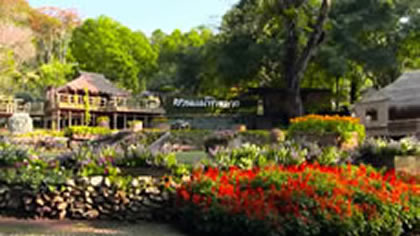 Doi Tung Development Program