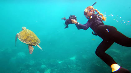 Exploring Ningaloo's Marine Wildlife and Cape Range National Park